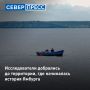 Участники экспедиции «Тайны Мангазеи и Ямбурга» нашли место, где в XIX веке начиналась история Ямбурга