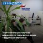 Более 3500 ямальцев получили юридическую поддержку в фонде «Защитники Отечества»