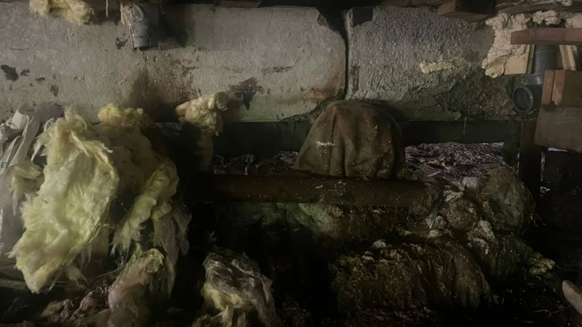 Очередной прекрасный дом в нашей коллекции: знакомим и вас! Очередной прекрасный дом в нашей коллекции: знакомим и вас!