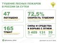За прошедшие сутки в 18 регионах России потушили 47 лесных пожаров
