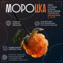 С июля по сентябрь тундра щедро делится своими дарами