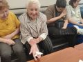 Птицы Арктики «приземлились» в Салехарде