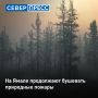 79 природных пожаров действуют на Ямале