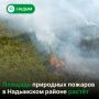 В муниципалитете действуют 15 природных пожаров
