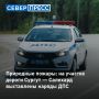 629 ������� ����� 104 ��������� ������ � ����