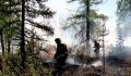 Новый пик лесных пожаров на Ямале: в округе полыхает 113 очагов