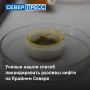 Ученые разработали экологичный способ борьбы с разливами нефти
