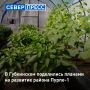 Отдаленный район Пурпе1: территорию планируют отдать под сады и огороды