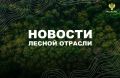 AK&M: Рослесхоз: в Ямало-Ненецкий автономный округ направят 56 лесных пожарных и 1 летчика-наблюдателя
