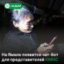 Коренные жители смогут получать ответы на вопросы через чат-бот