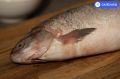 Рыбалка обернулась для жителя Салехарда уголовным делом