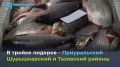 Ямальские рыбаки бьют рекорды