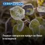 На Ямале в выходные 29–30 августа ожидается похолодание
