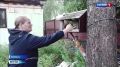 ������� �������� �� ���������� ������� ��������� � ���������