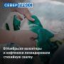 В Ноябрьске экологические активисты и сотрудники нефтепроводной компании ликвидировали крупную несанкционированную свалку в районе гаражного комплекса «Ханто-2»