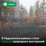 В Надымском районе существенно сократилось количество природных пожаров