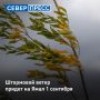 �� ����� 1 �������� ��������� �������� �������� ����� � �������� �� 23 �/�