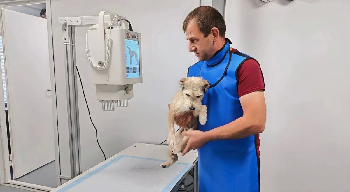 На Ямале чествуют ветеринарных специалистов На Ямале чествуют ветеринарных специалистов
