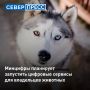 В России планируют разработать новые государственные сервисы