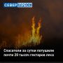 На Ямале спасателям за сутки удалось ликвидировать восемь природных пожаров на площади 19 662 гектара