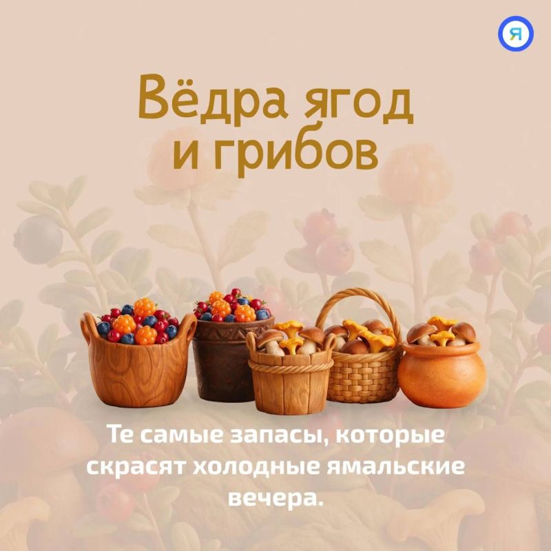 Осень в Салехарде делает первые шаги Осень в Салехарде делает первые шаги
