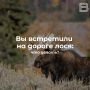 �� ��������� �� ������ ����: ��� ������