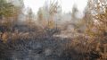 Ямальская осень помогает пожарным в лесах