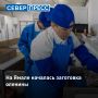 На Ямале началась убойно-заготовительная кампания