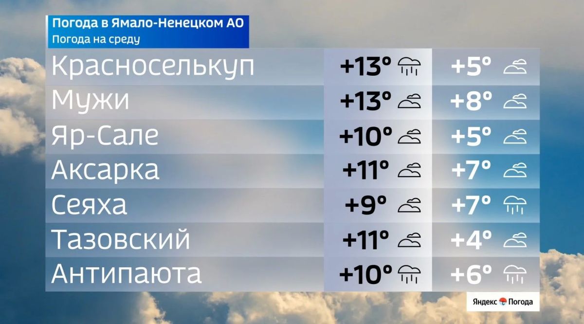 Осень набирает обороты: на Ямале до +13 °C Осень набирает обороты: на Ямале до +13 °C