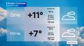 Осень набирает обороты: на Ямале до +13 °C