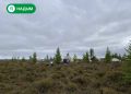 Первыми голосуют в тундре: в Надымском районе стартовало досрочное голосование