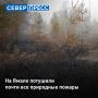 На Ямале осталось потушить всего девять природных пожаров