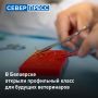 В Белоярске начал работу специализированный класс для школьников, планирующих связать свою карьеру с ветеринарией