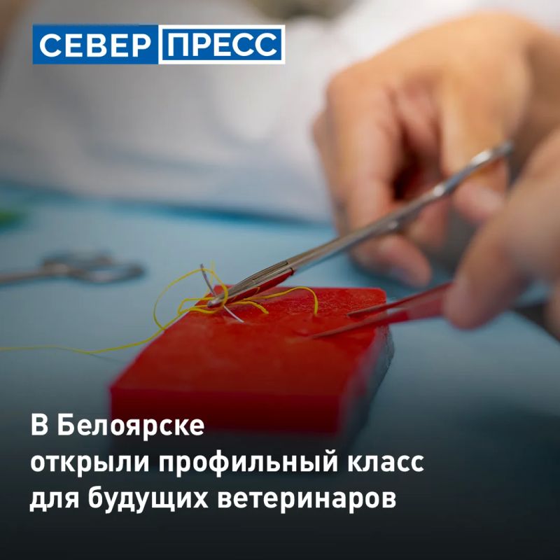 В Белоярске начал работу специализированный класс для школьников, планирующих связать свою карьеру с ветеринарией