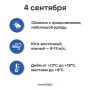Погода на Ямале 4 сентября