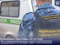 В Ямало-Ненецком автономном округе судебные приставы по ОУПДС в ходе розыска задержали в тундре двух местных жителей, которые скрывались от суда