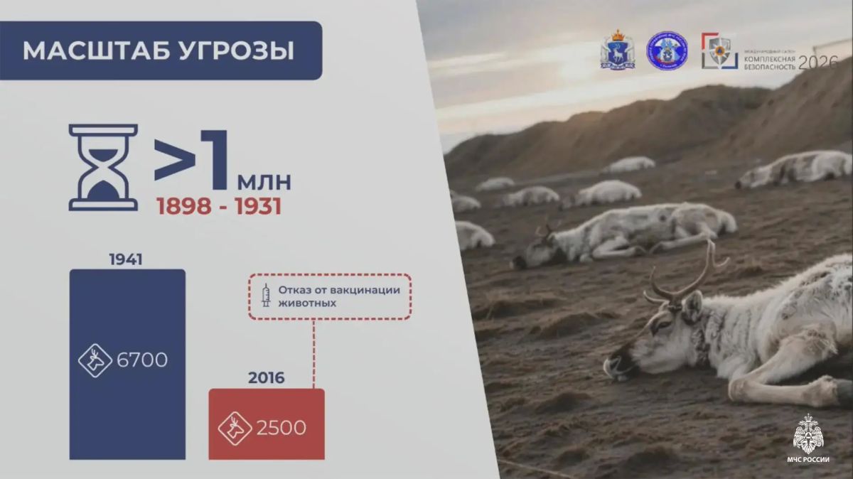На салоне «Комплексная безопасность» в Казани представлен сценарий отработки ликвидации последствий сибирской язвы на Ямале На салоне «Комплексная безопасность» в Казани представлен сценарий отработки ликвидации последствий сибирской язвы на Ямале