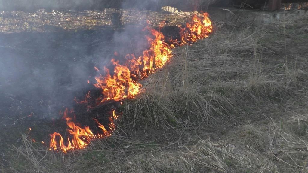 В Пуровском районе тушат последний природный пожар