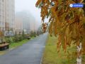 Доброе утро, Салехард!. Сегодня воскресенье — день для неспешных завтраков, прогулок и времени с близкими