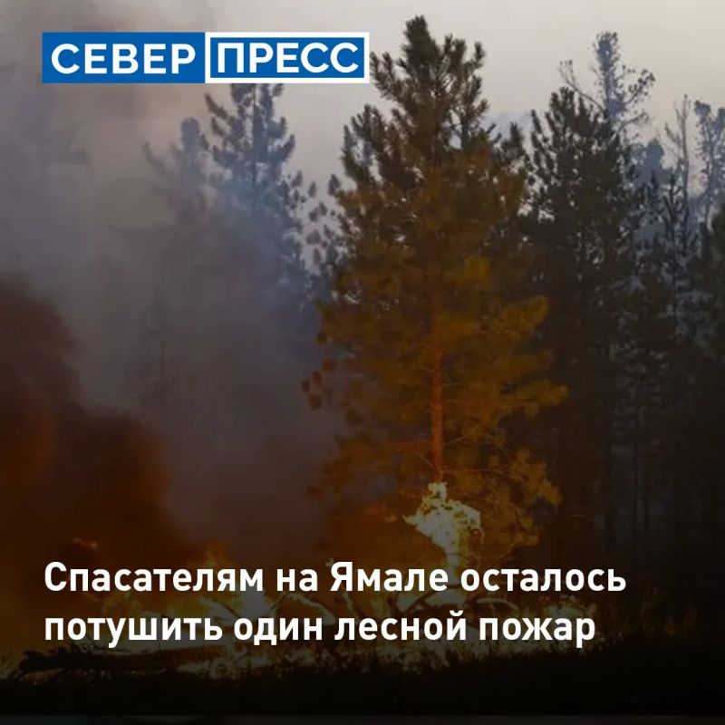 На Ямале остался единственный действующий лесной пожар, борьбу с ним ведут 38 человек