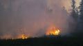 �� ����� ��������� ���������� ������ � �����