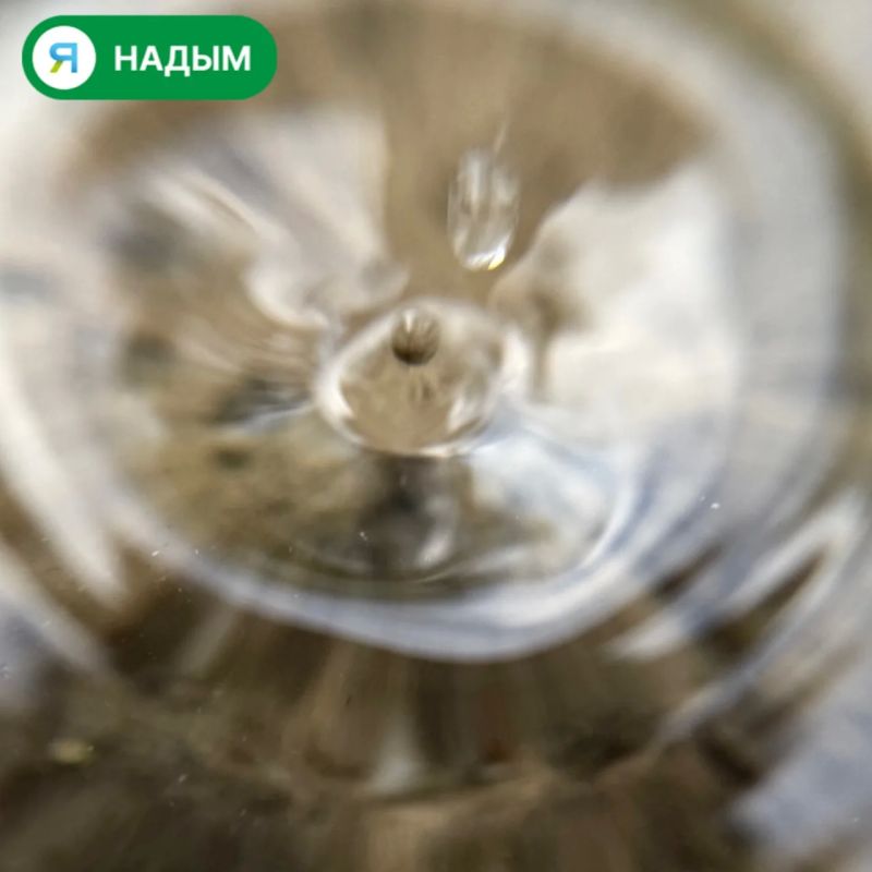 Осень вступила в свои права, и улицы Надыма наполнились яркими красками Осень вступила в свои права, и улицы Надыма наполнились яркими красками