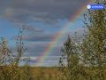 Бабье лето не покинет Салехард до конца этой недели