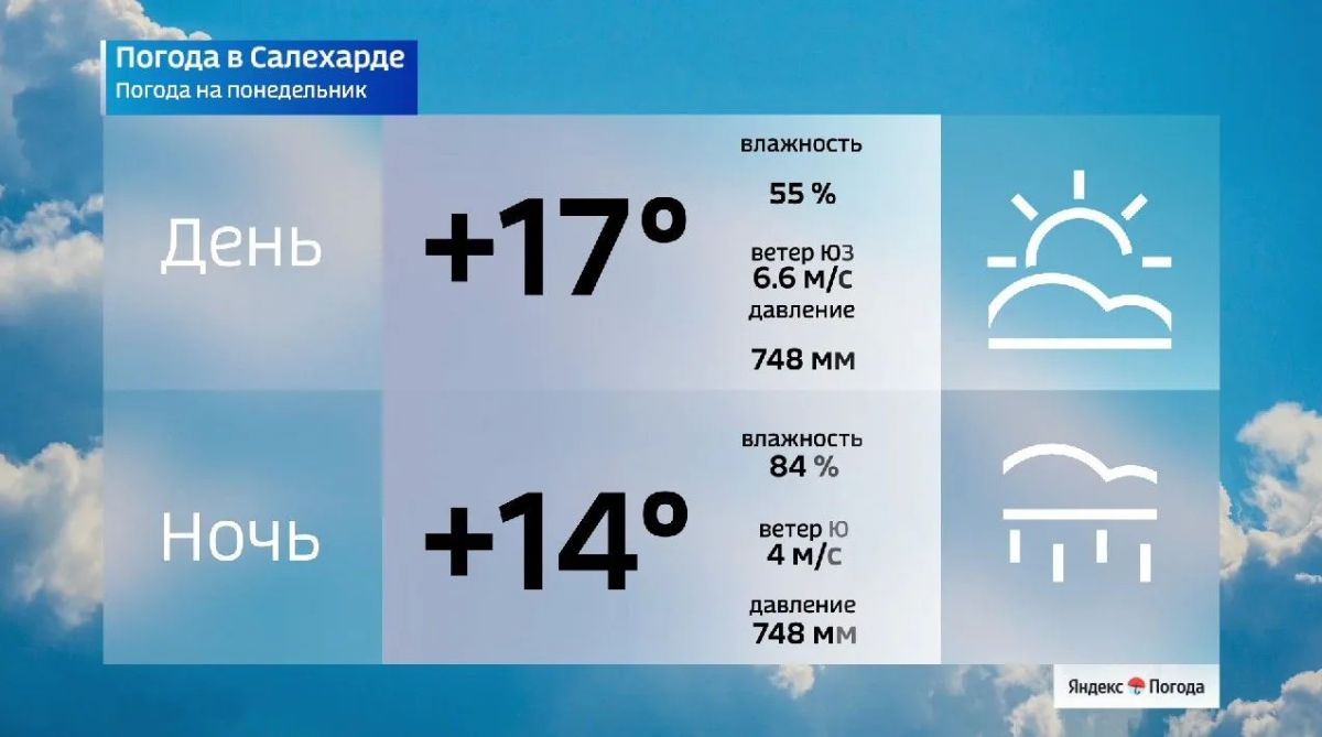 На Ямале рабочая неделя начнется с теплой, но дождливой погоды На Ямале рабочая неделя начнется с теплой, но дождливой погоды