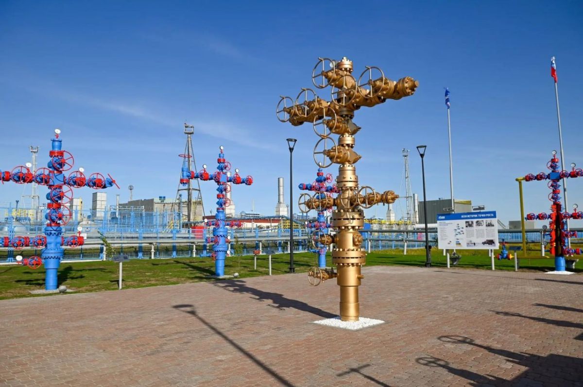 В Заполярье открыли первый музей фонтанной арматуры под открытым небом В Заполярье открыли первый музей фонтанной арматуры под открытым небом