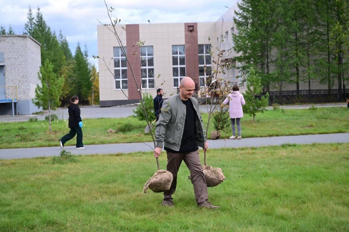 На Площади Памяти высадили деревья На Площади Памяти высадили деревья