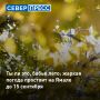 Аномально теплая и сухая погода продержится на Ямале до 15 сентября