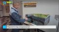 Учёные изучают природу ямальских кратеров