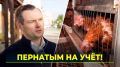 Повторение - сами знаете что