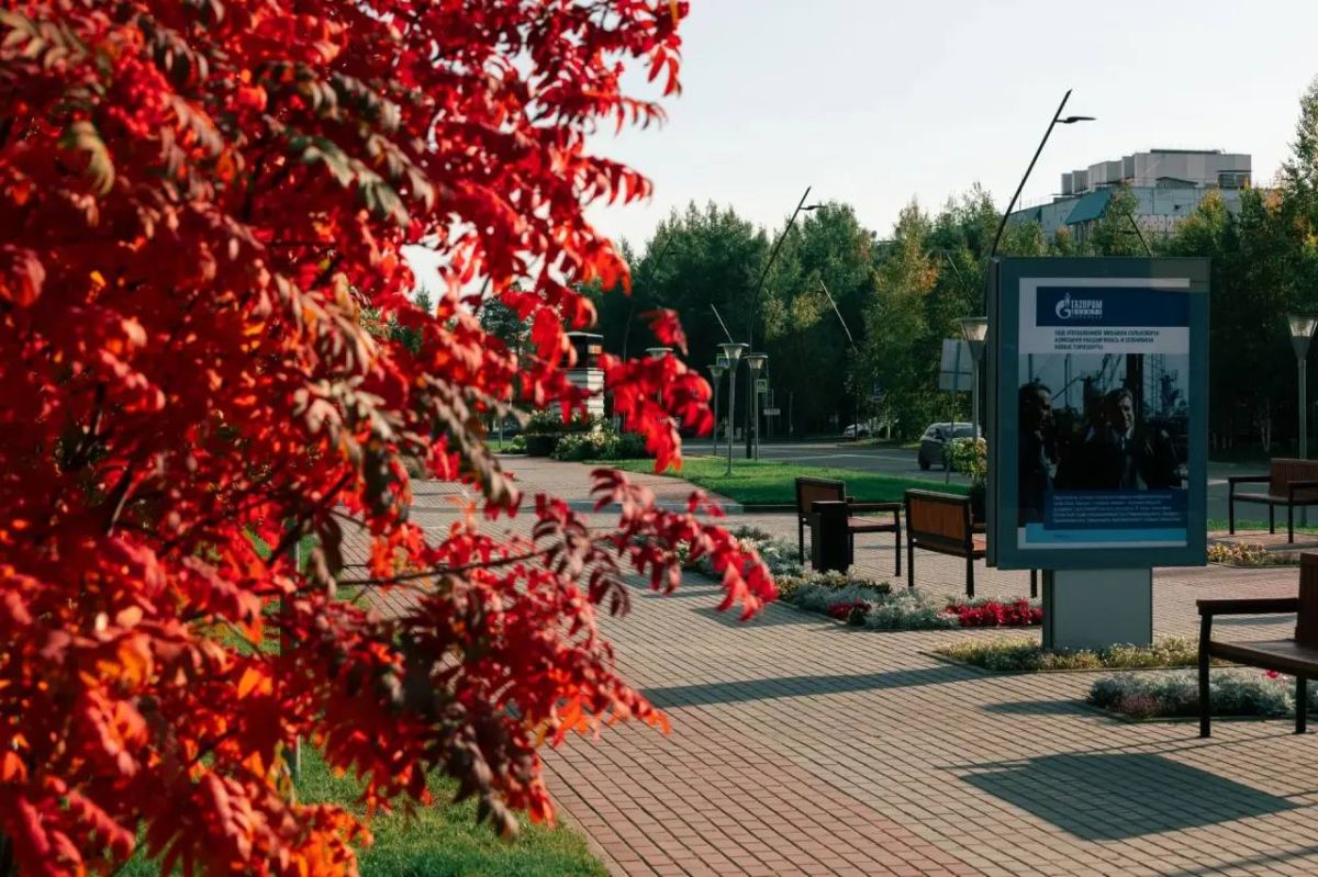 Эта осень дарит столько солнца, тепла и красоты Гуляем, любуемся, наслаждаемся Эта осень дарит столько солнца, тепла и красоты Гуляем, любуемся, наслаждаемся